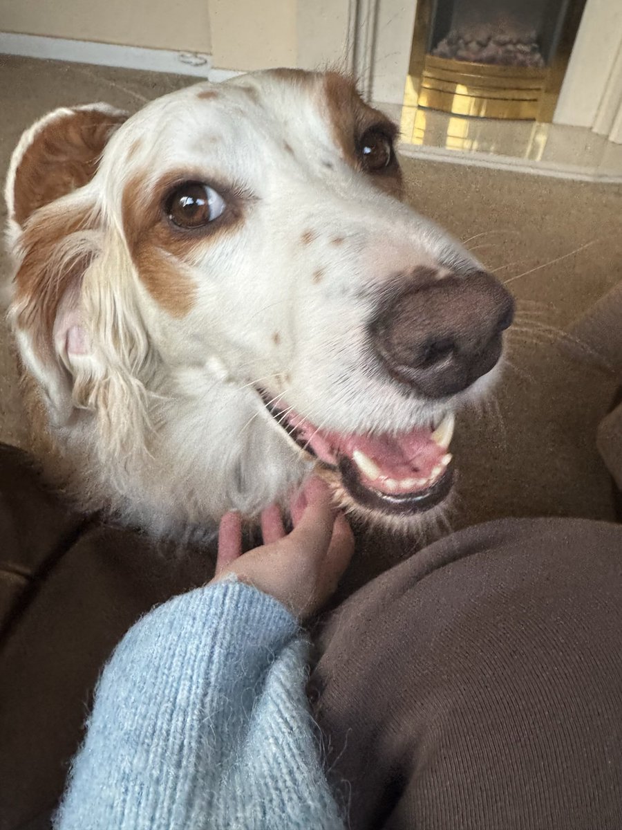 People keep saying Maple and I have the same vibe - can’t imagine why…