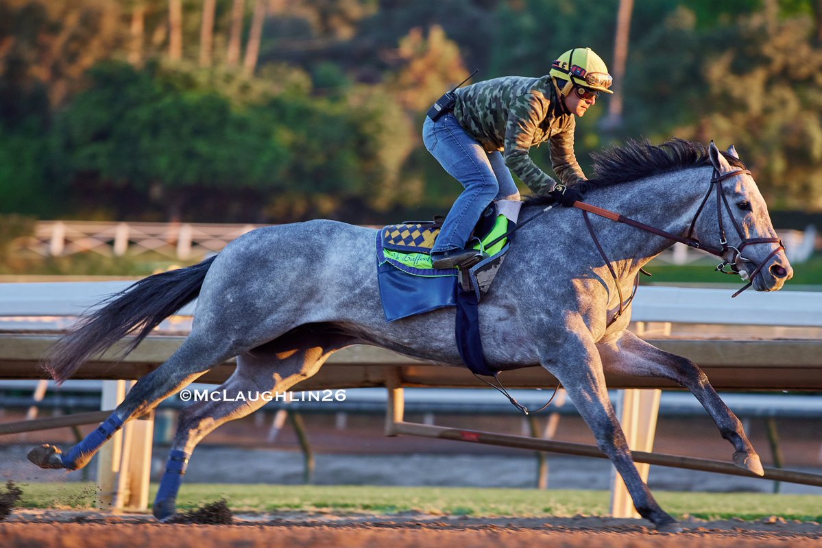 J McLaughlin Safford tweet media