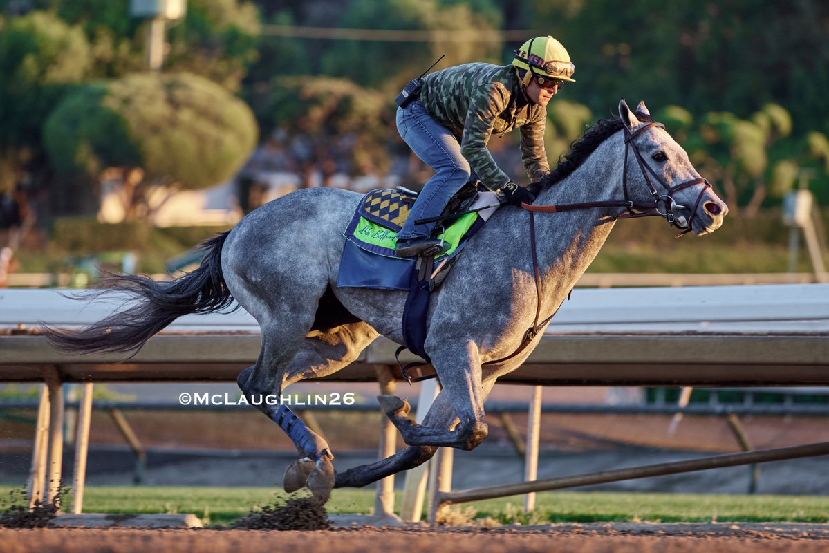 J McLaughlin Safford tweet media