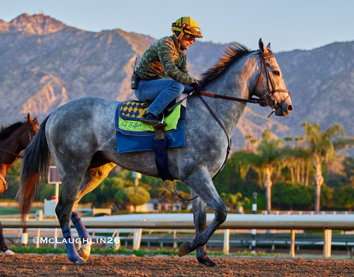 J McLaughlin Safford tweet media