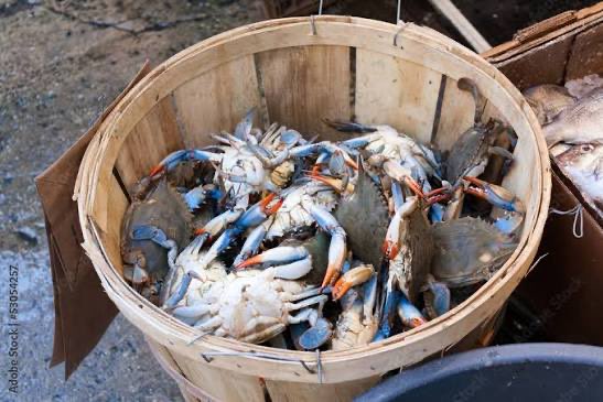 Les réponses à ce tweet en une image