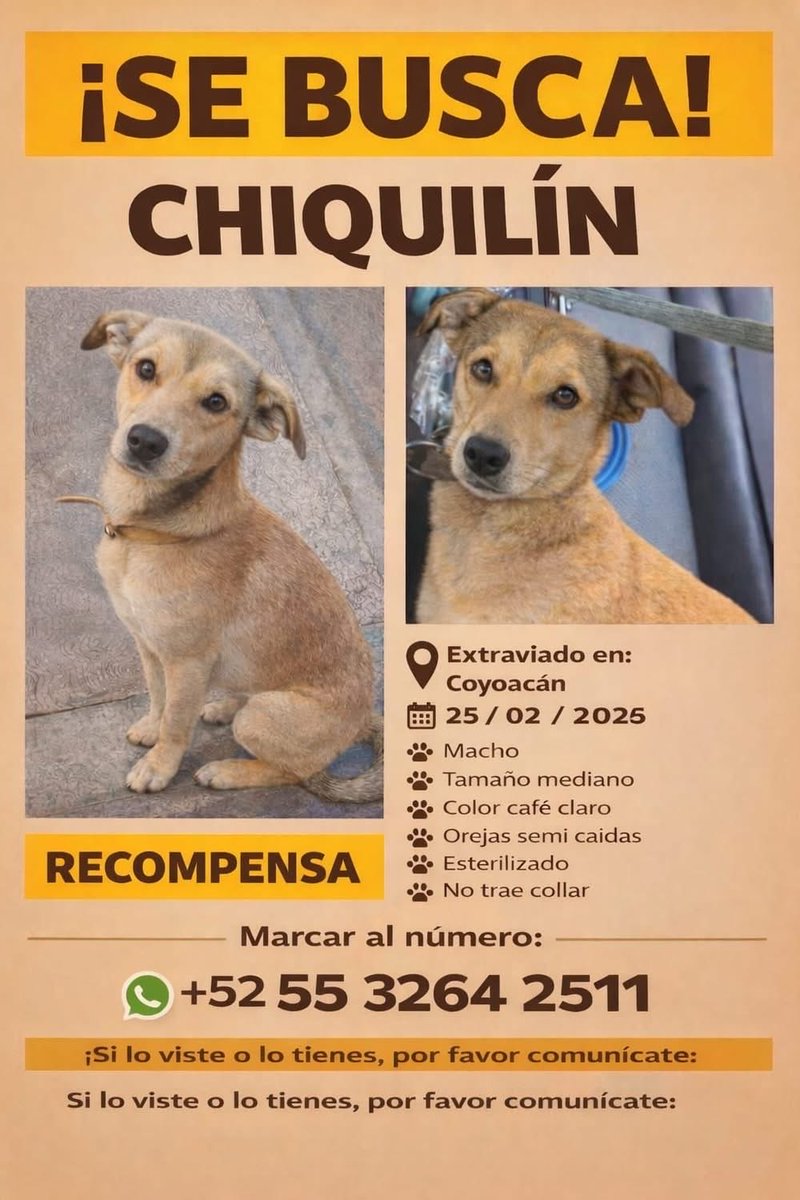 AlejandraVegaF5's tweet photo. ATENCIÓN COYOACÁN ‼️ LO han visto!!??? https://t.co/C1kKXYtHa6