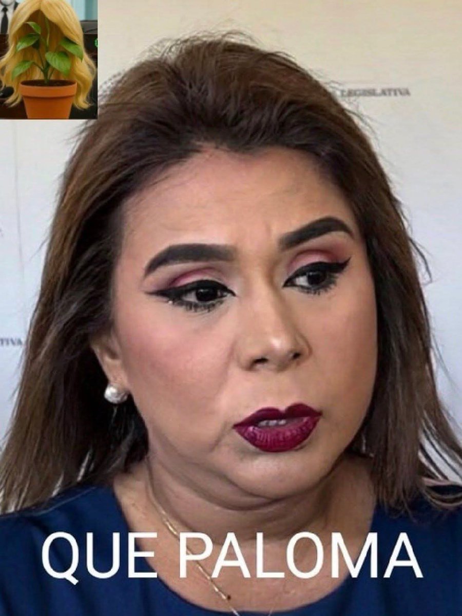 Estidy's tweet photo. @Cesar112316 Llegar a eso una mujer si que es sentirse en decadencia qué yuca jajajajaja
Araña acosadora entonces? https://t.co/dO8oM7AUyY