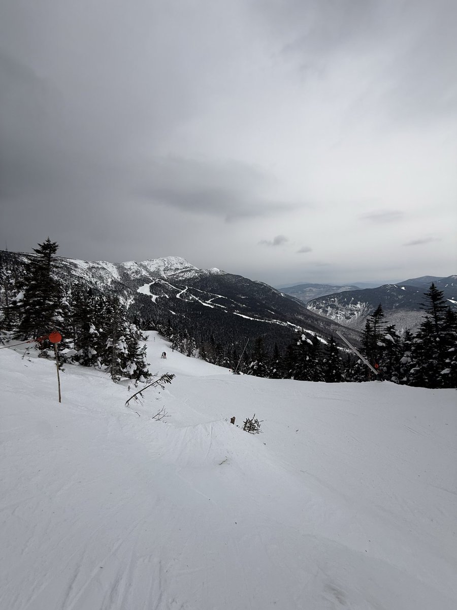 a stoned ape tweet media