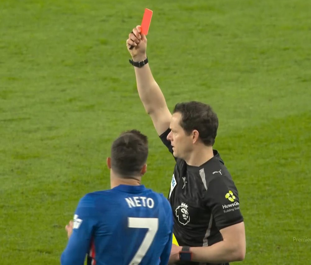 Perro Chelsea #ClearlakeOUT #EghbaliOUT tweet media