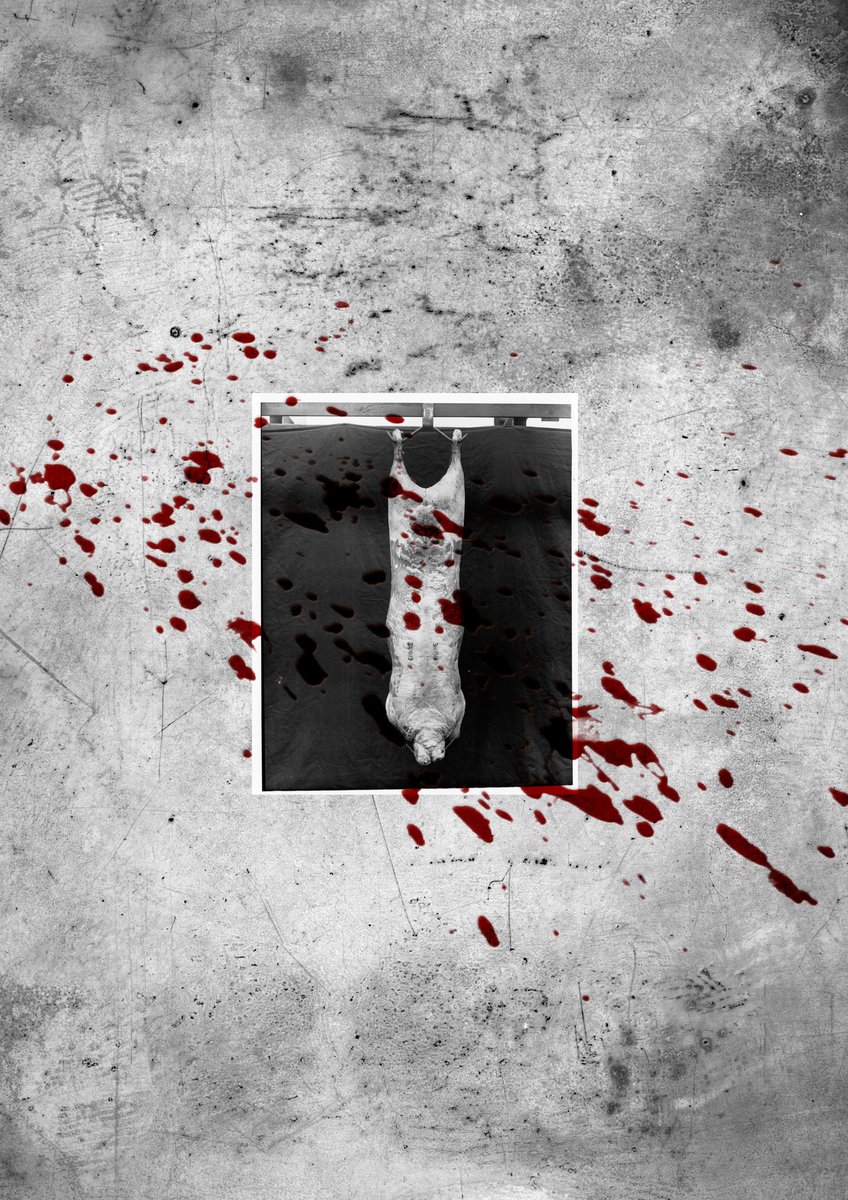 Meth In June tweet media