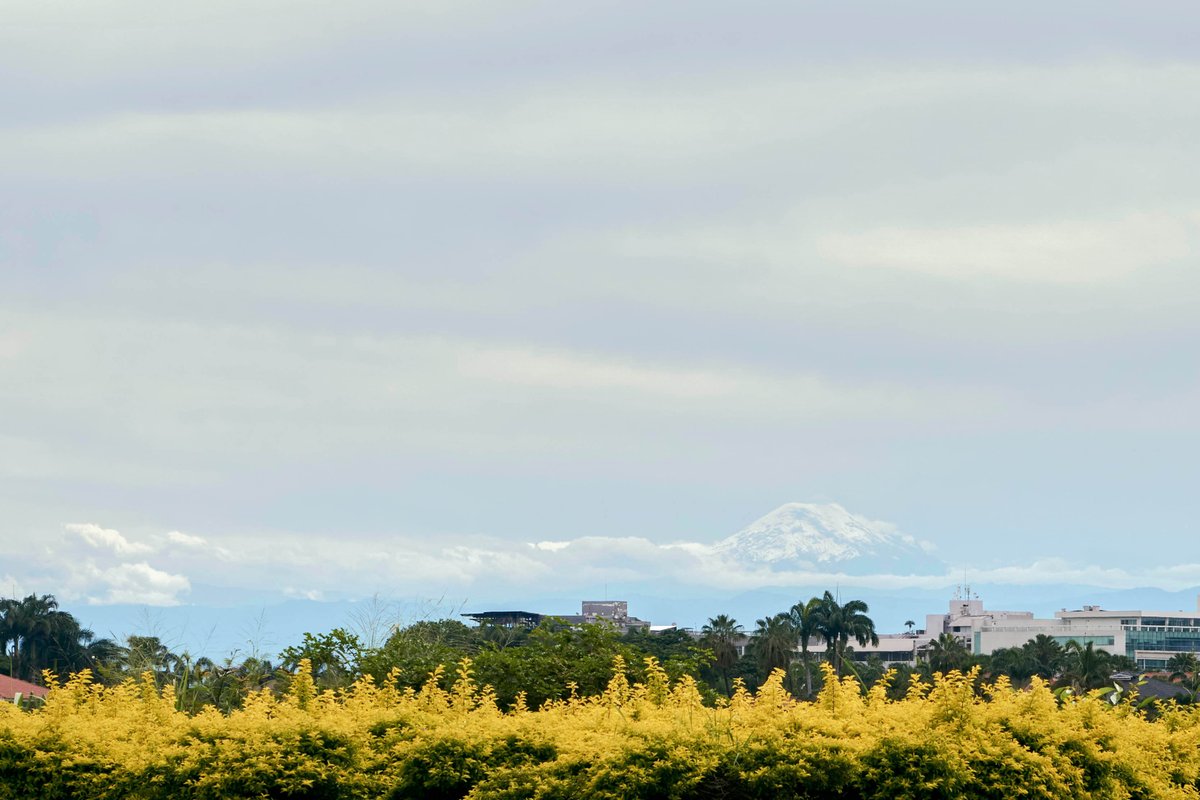 oss_saenz's tweet photo. El Chimborazo visible desde el aeropuerto de Guayaquil https://t.co/yTaJ1H77qq