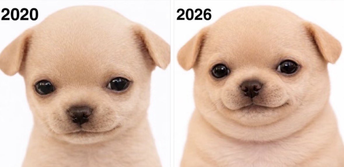 💖 (@twaniimals) on Twitter photo 