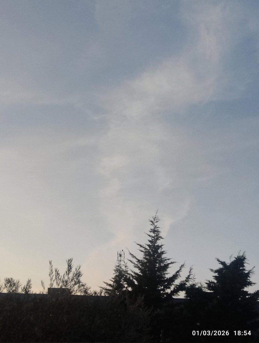 🕵🏻‍♀️ ☺️🕊️
"Nunca te importe lo que otros piensen de ti, no pueden pensar más allá de su conocimiento y su nivel de comprensión."
Shiva Negi
"Lo que juzgas, no puedes comprenderlo."
Anthony de Mello