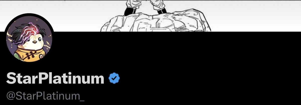 StarPlatinum tweet media