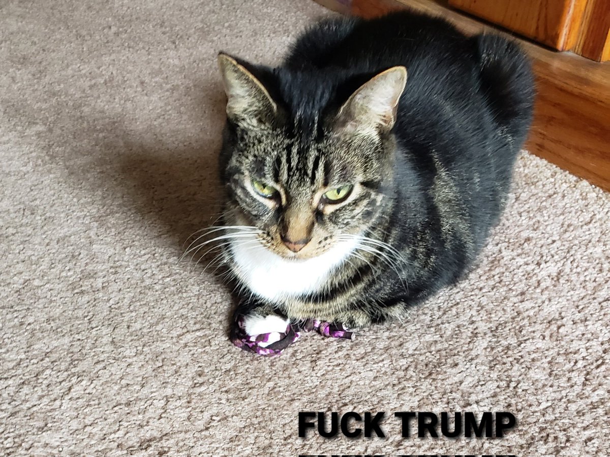 Snark & Dread 2026 ⚖ 🌊 🐈 🏖 tweet media