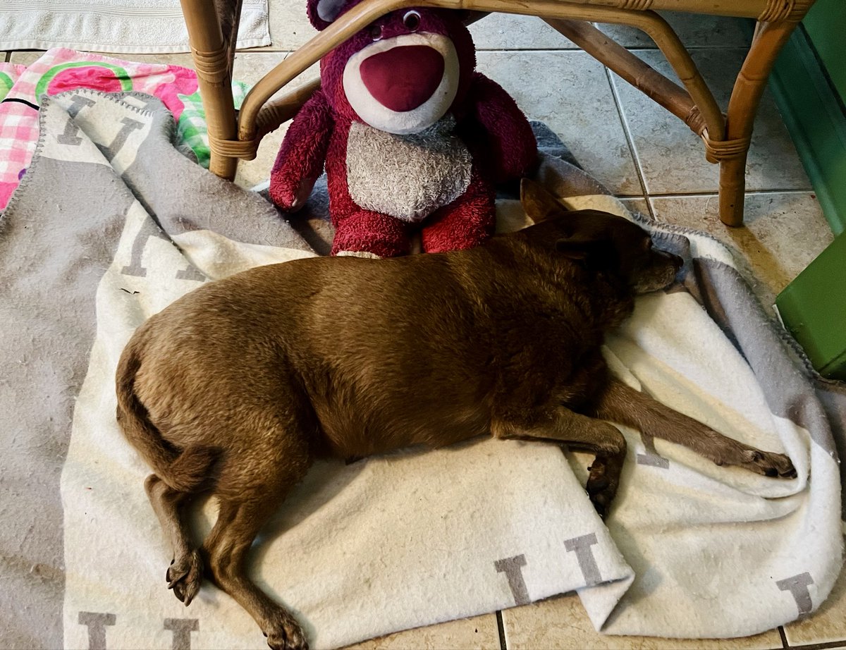 Chef_Matt tweet media