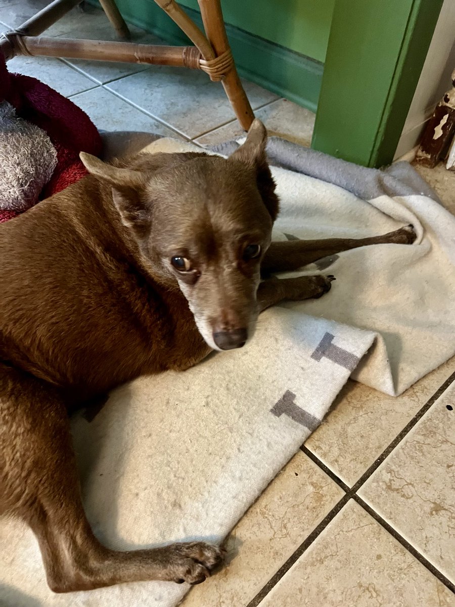 Chef_Matt tweet media