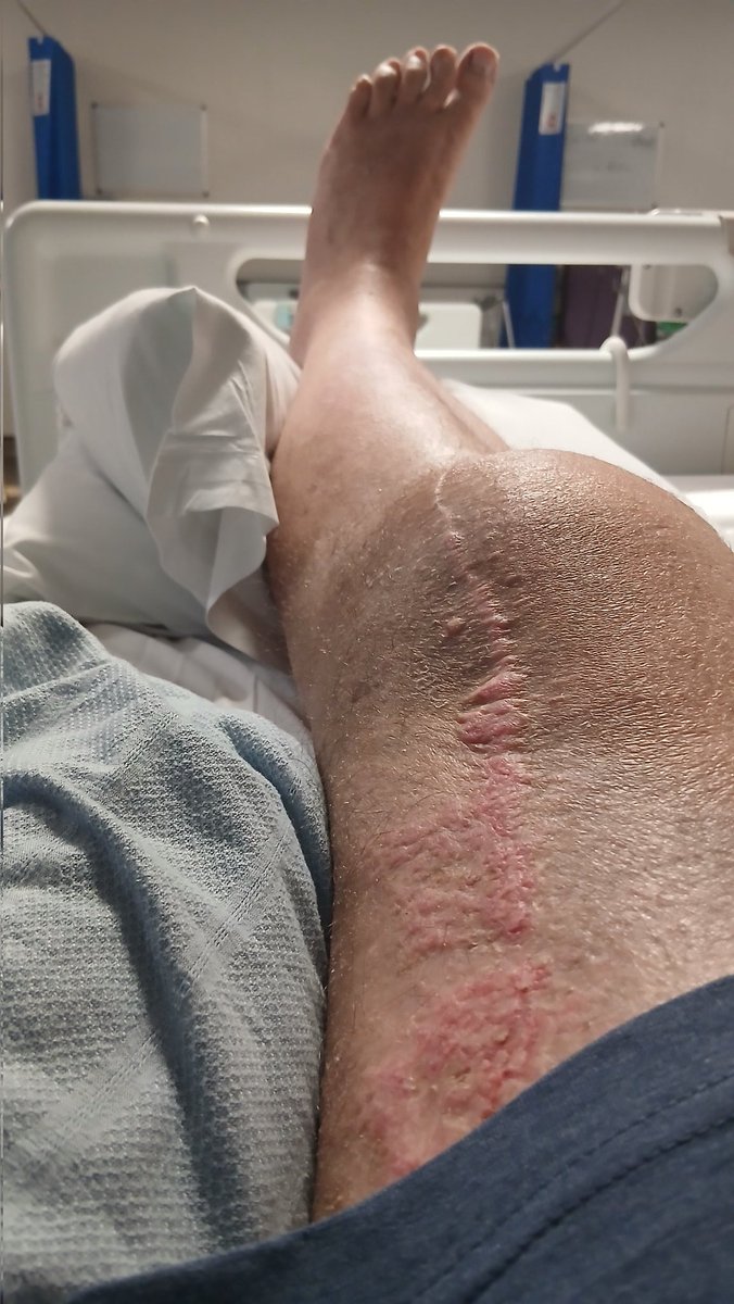 David Birch tweet media