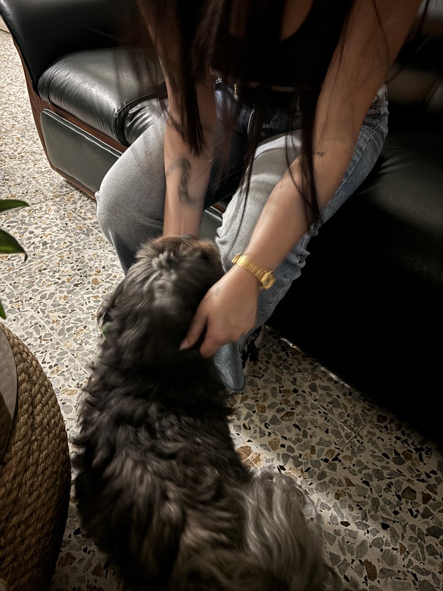 Mi perrita no puede ser más regalada, porque no sabe como , literal jajaa