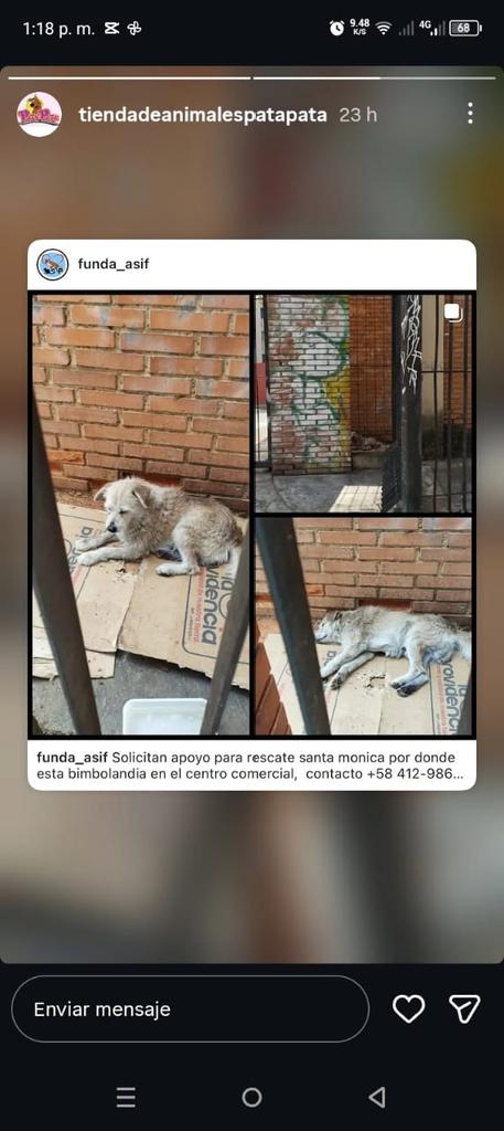 PerroUsuario's tweet photo. RP @RamsesVazBlanco: Reenviado. Urge ayuda. Gracias.🐾🙏🐶💔😔 https://t.co/Y2NcR7Hqvf