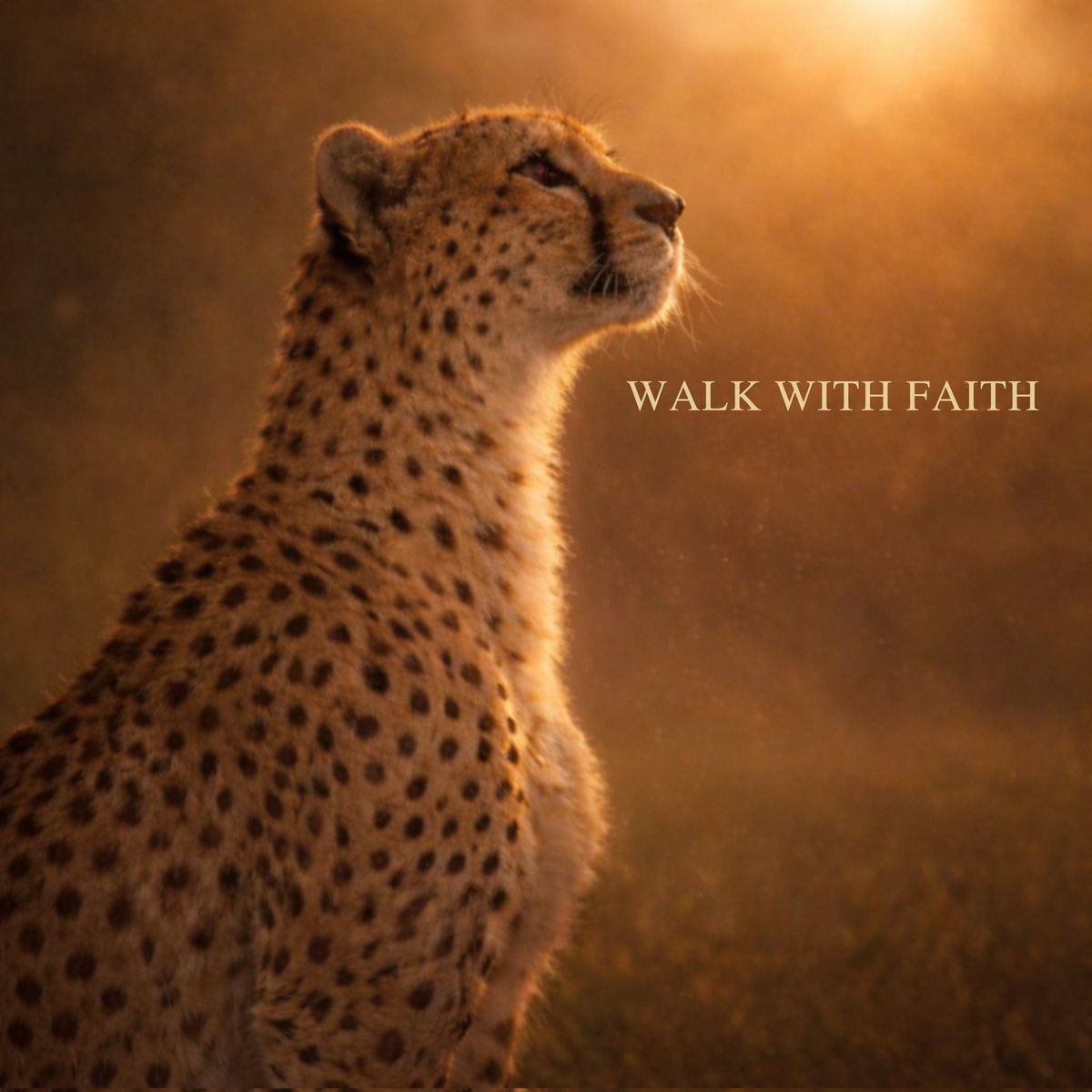 $FAITH

No matter how sick they are, cheetahs never give up; faith is everything 🍺✅️

Ca: J4NPHmnapuLJLeDkxuqaHNkKvXmjg81HJRwGk2xHpump