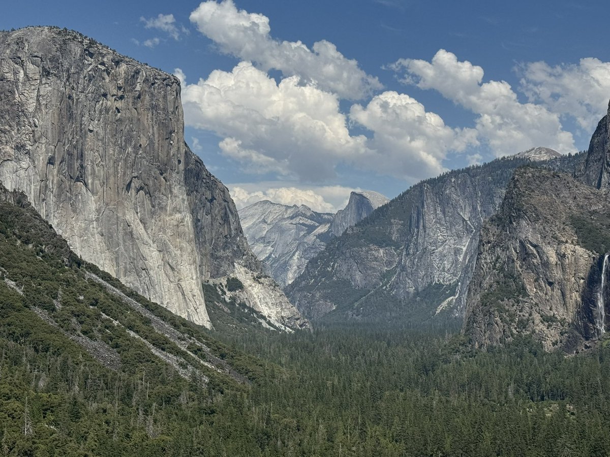 LamboVfl's tweet photo. @LifeofBandT @Ron613_ @YellowstoneNPS Went to sequoia and Yosemite this past summer they where awesome as well https://t.co/XwLAdqO3mg