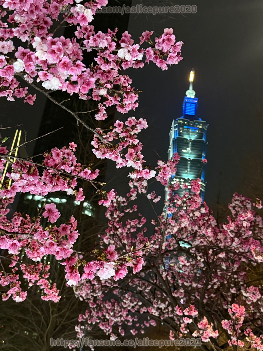 勁量小愛🔞sex master tweet media