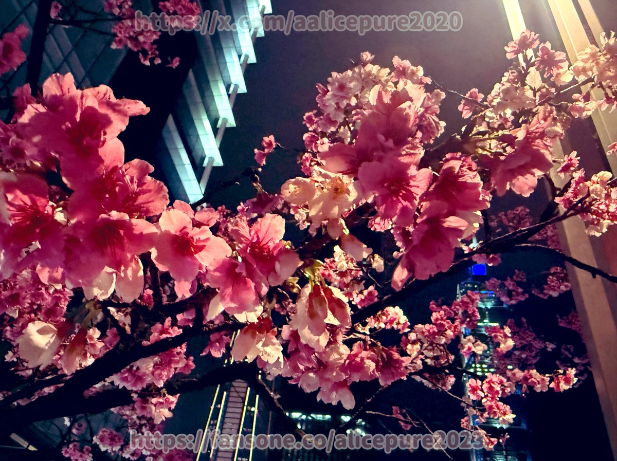 勁量小愛🔞sex master tweet media