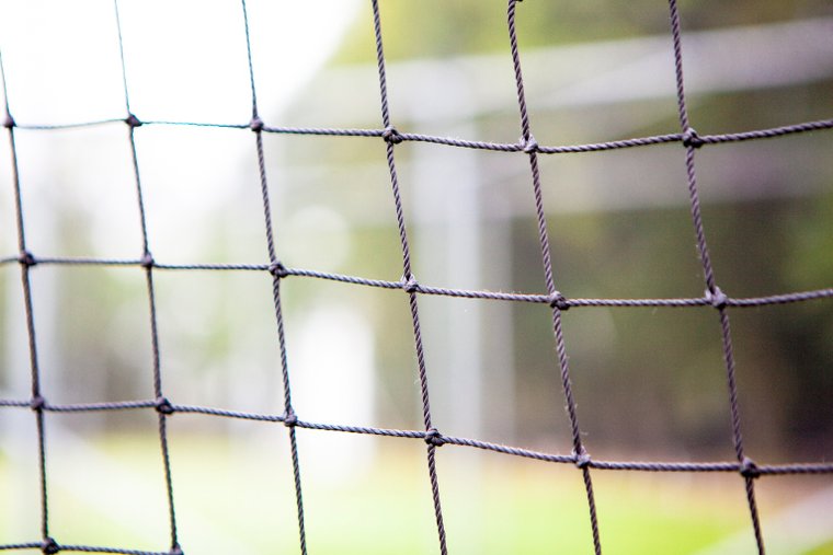 Beckenham Cricket Club tweet media