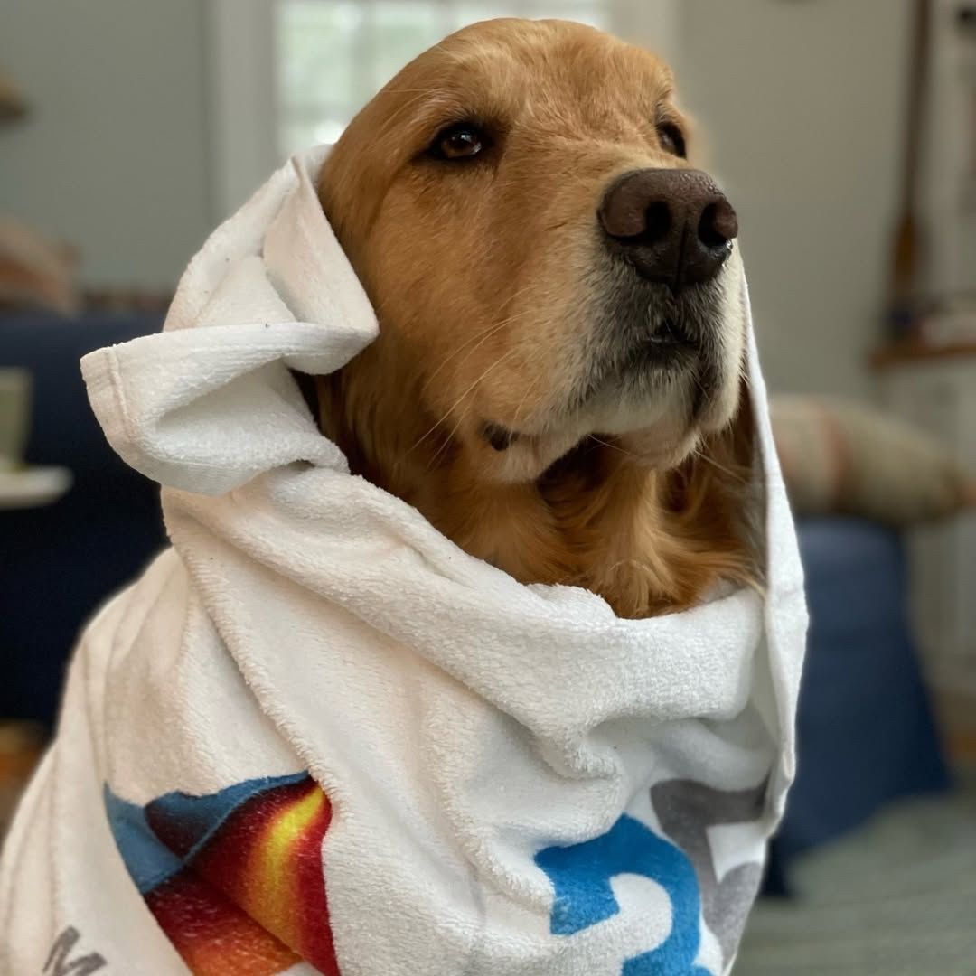 MathWorks tweet media