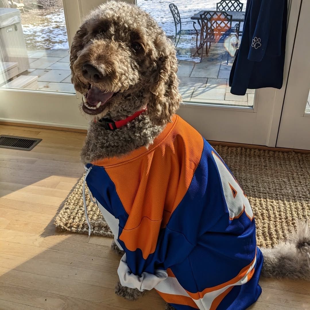 MathWorks tweet media