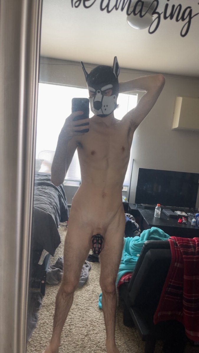 Tristian tweet media