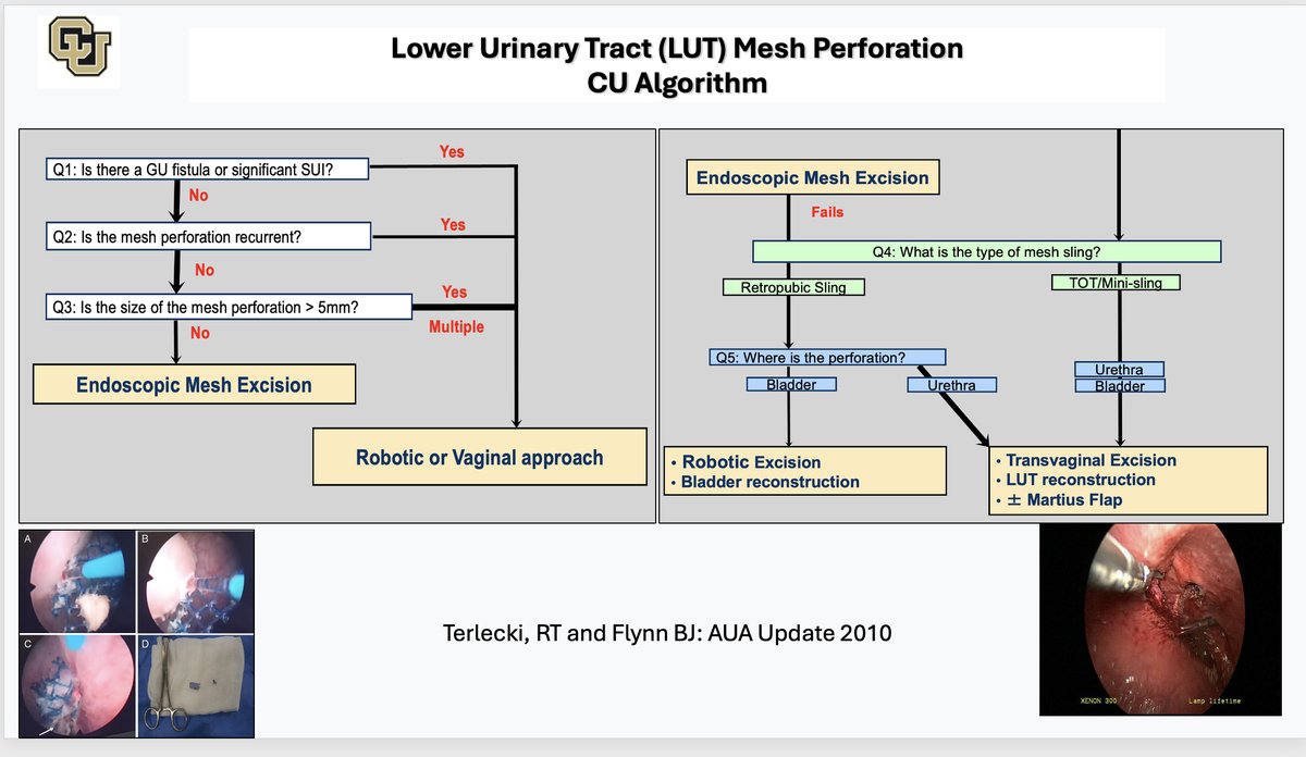 Brian J. Flynn, M.D. tweet media