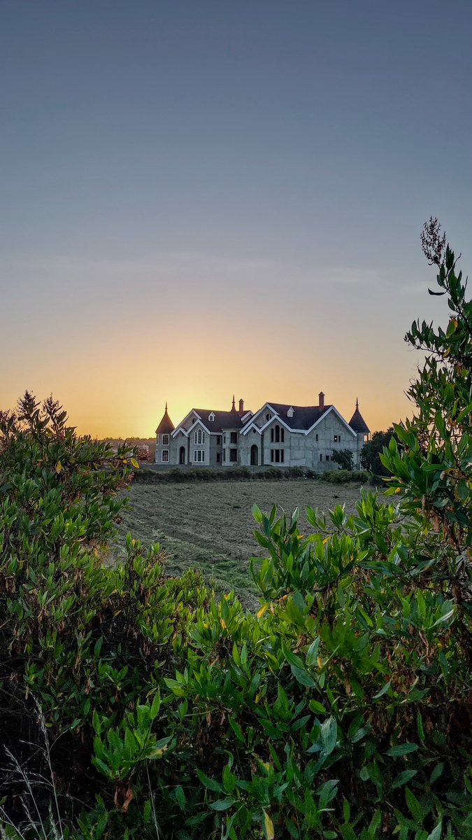 𝙰𝚉𝙸𝙸𝚉 ム tweet media