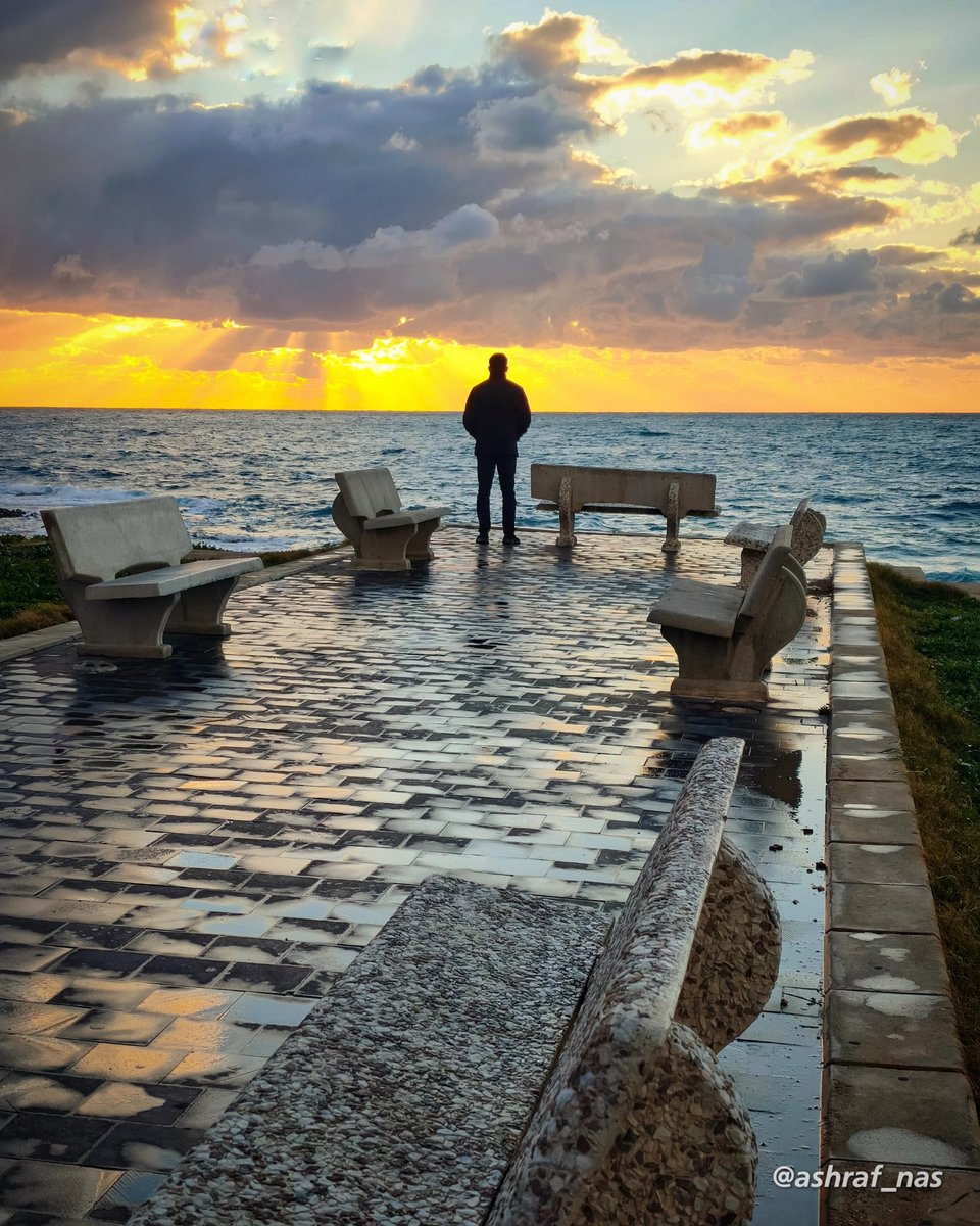 Ashraf Nasrallah tweet media