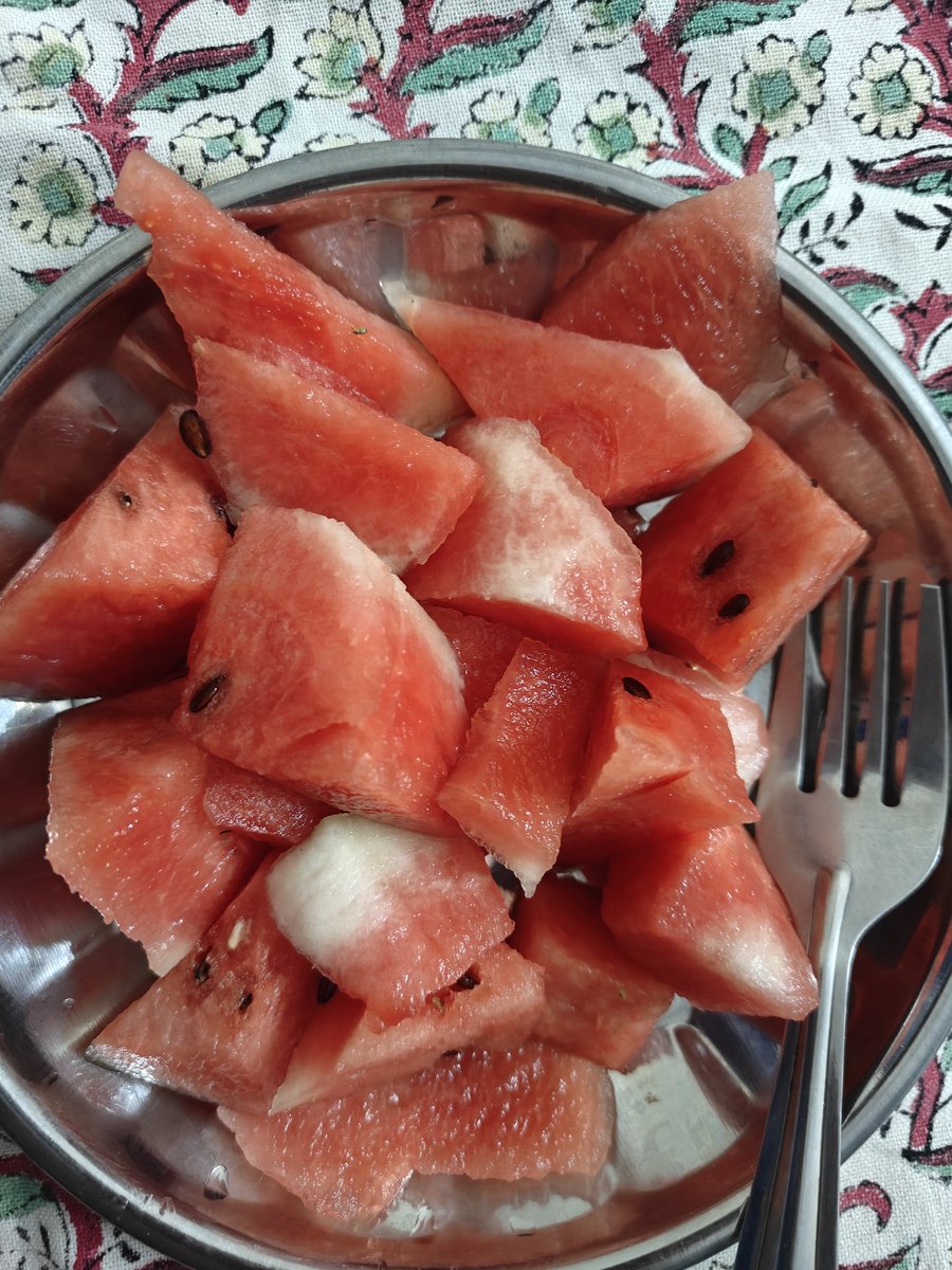 Day -(59/365)

> Had watermelon 🍉 
> Had 2.5L of water 

Good day 🥰