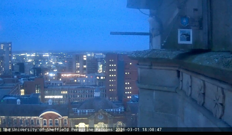 doggie(Alan) tweet media