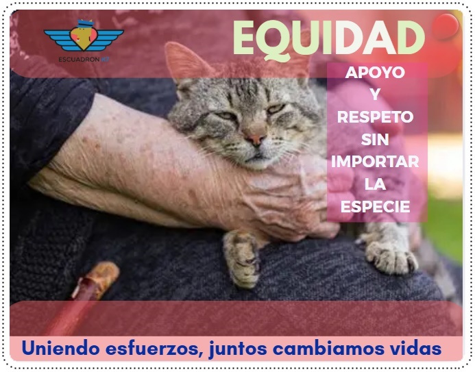 Marzo equidad