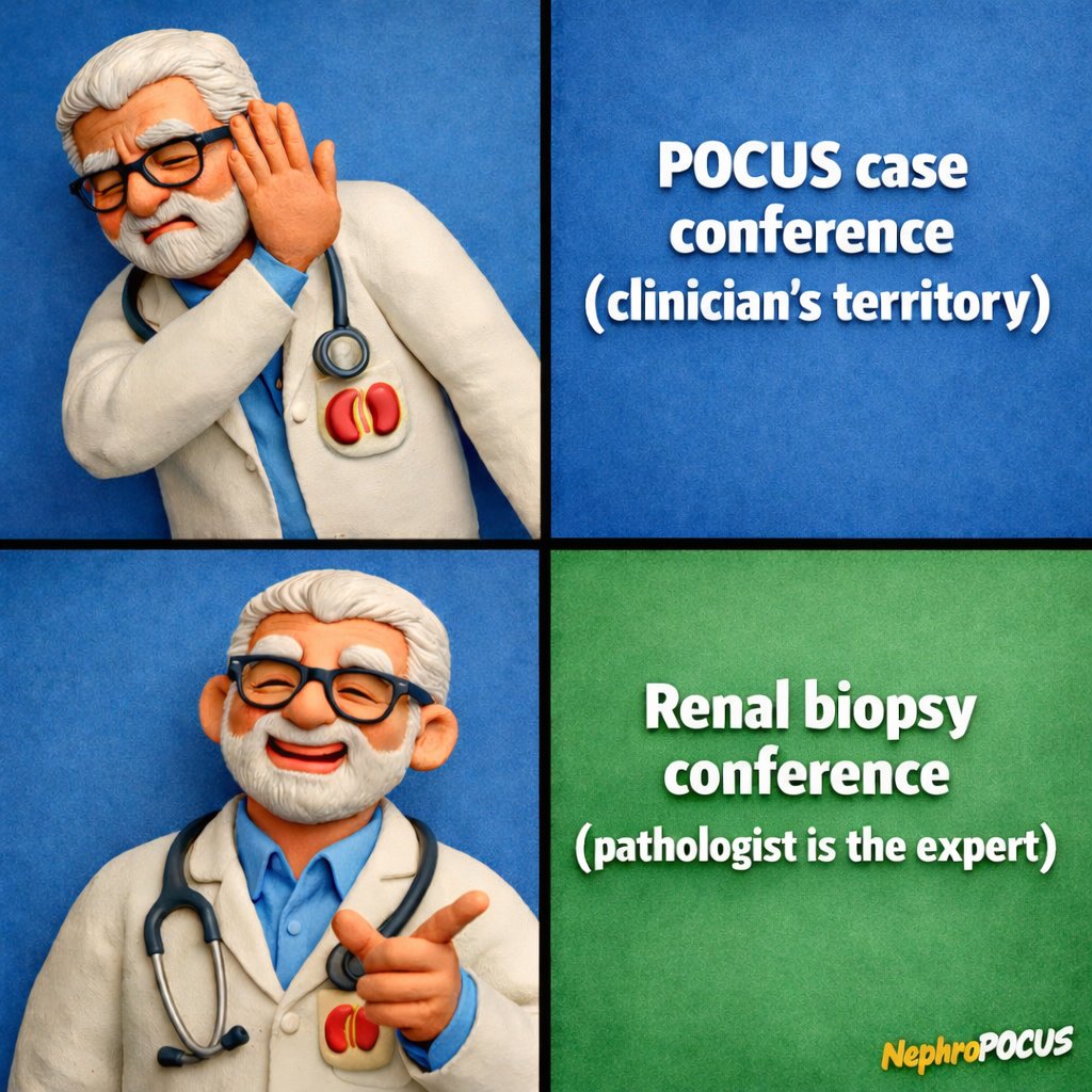 NephroPOCUS tweet media