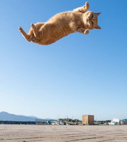 Definition of the team.