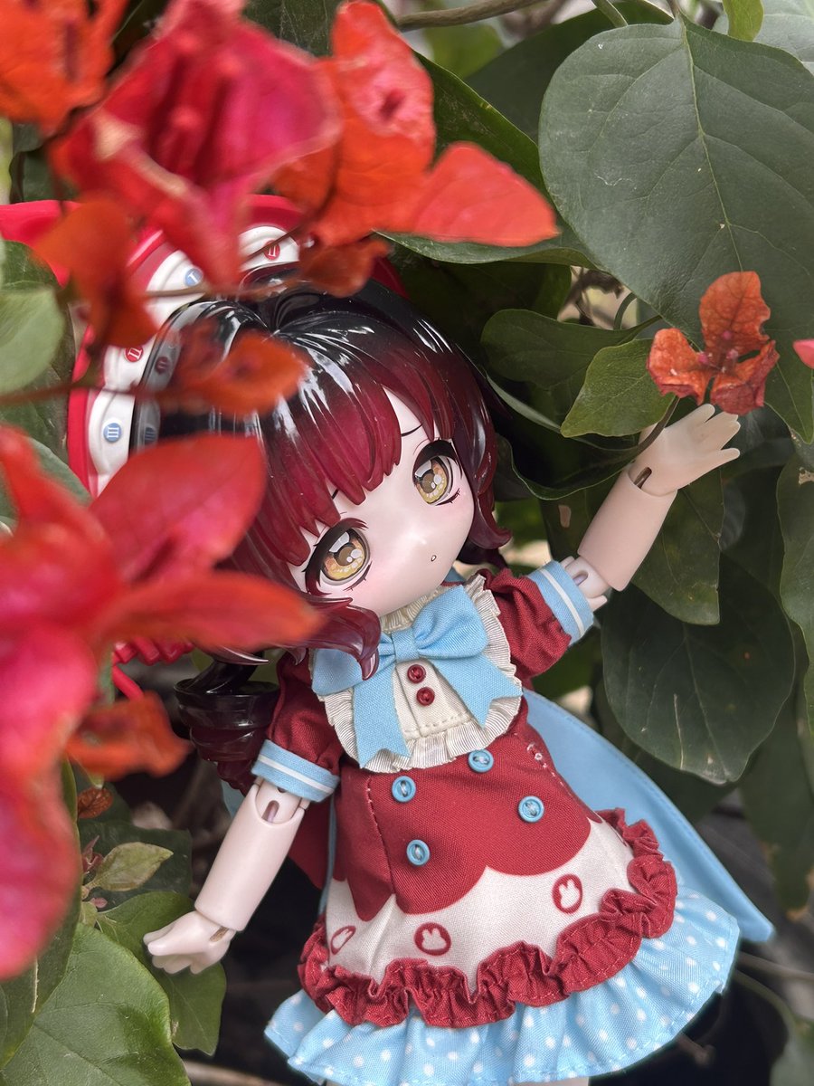 weinisi35's tweet photo. ☎️🌺
#兔の夢匣 #ボニバニ6 #come4free https://t.co/HQQ8CXwQkG