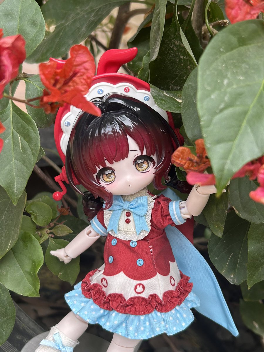 weinisi35's tweet photo. ☎️🌺
#兔の夢匣 #ボニバニ6 #come4free https://t.co/HQQ8CXwQkG