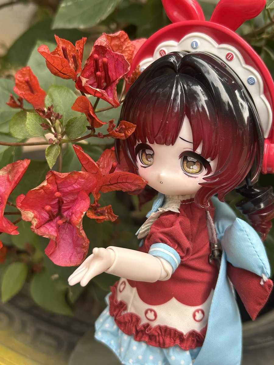 weinisi35's tweet photo. ☎️🌺
#兔の夢匣 #ボニバニ6 #come4free https://t.co/HQQ8CXwQkG