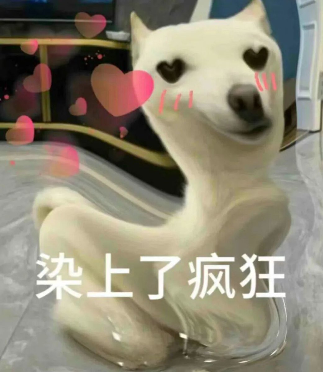 被疯狂洗脑，哈哈哈哈