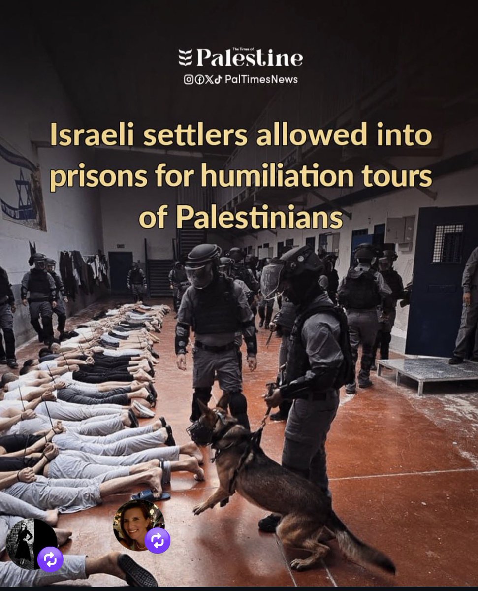 Robert Martin 🇵🇸 tweet media