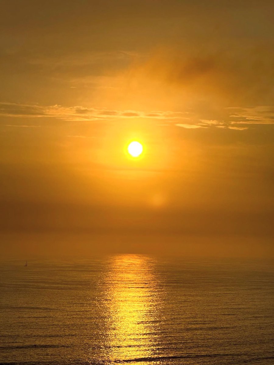 Libardo Isaza tweet media