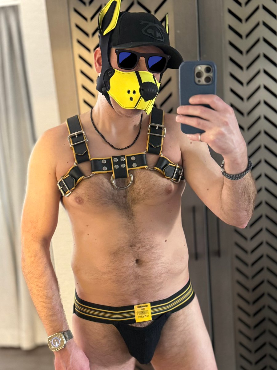 🇨🇦 RJ tweet media