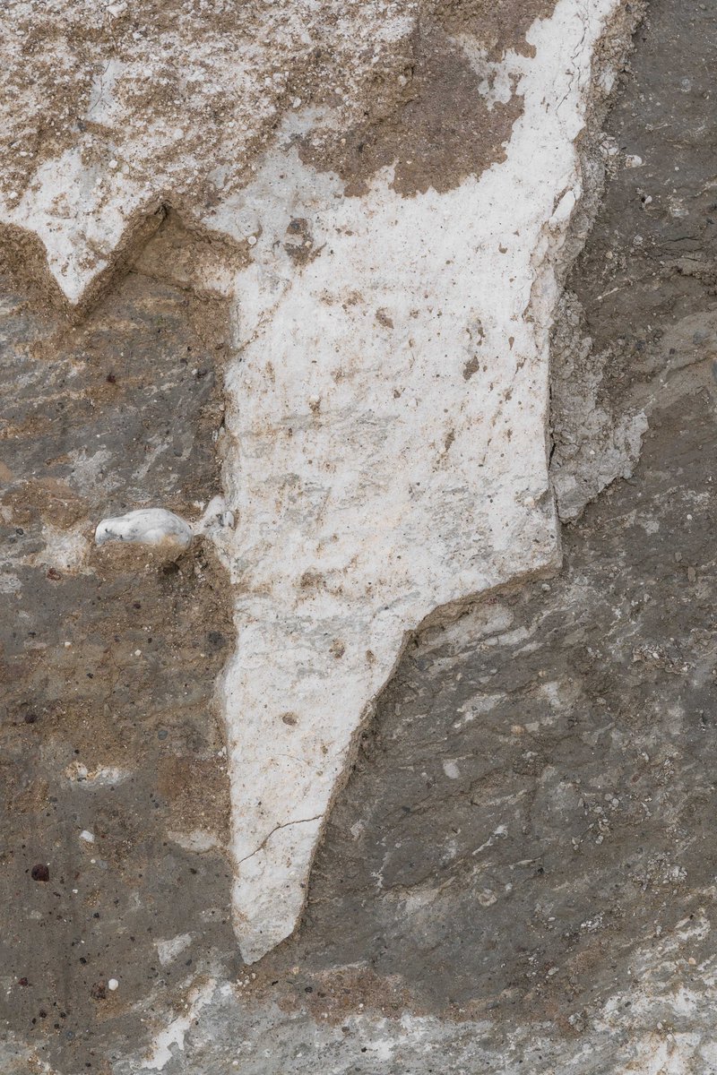 thatbloom tweet media