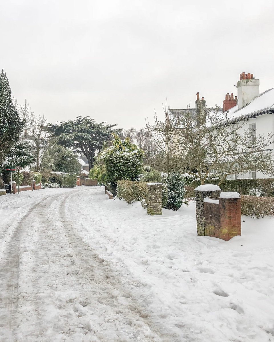 Exeter Daily tweet media