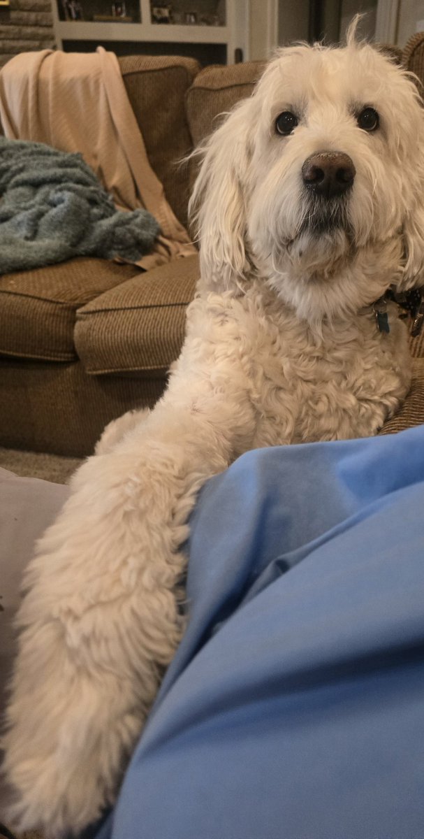 Demonetization Coach Jon tweet media