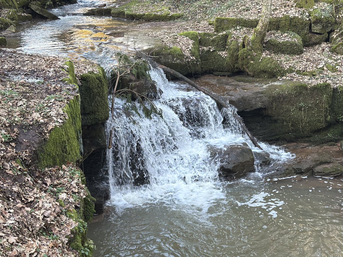 Siebenstaub's tweet photo. Heute war ich mal an der Neuwiesgraben Schlucht in #Dittlofsroda und habe dort einen #Earthcache gesucht. Es war sehr idyllisch dort.
#Geocaching #gcfrde #geocachingfranken @GoGeocaching https://t.co/46CeE1Lzbh