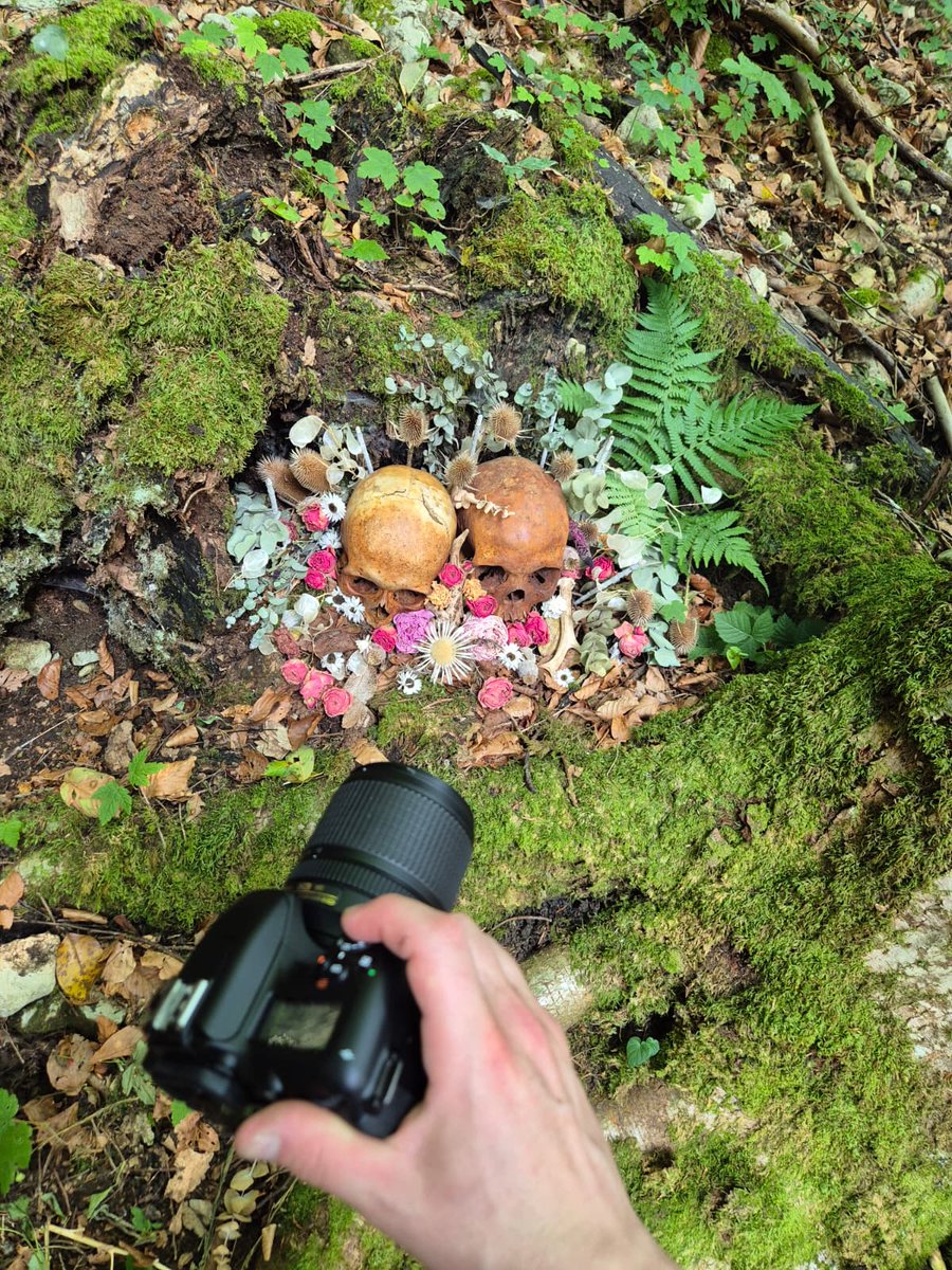 Hypnotic Dirge Records tweet media