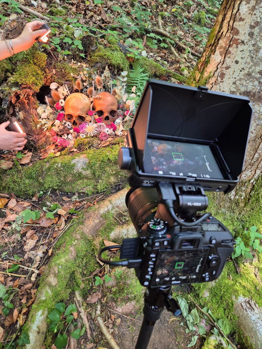 Hypnotic Dirge Records tweet media