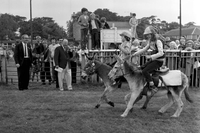 Academic Agent tweet media